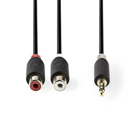 Nedis CABW22250AT02 - Stereofonní Audio Kabel | 3,5mm Zástrčka - 2x RCA Zásuvka