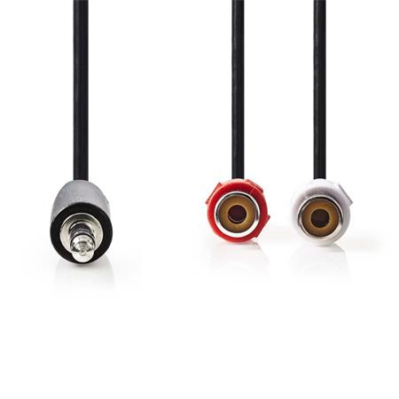 Nedis CAGB22250BK02 - Stereofonní Audio Kabel | 3,5mm Zástrčka - 2x RCA Zásuvka