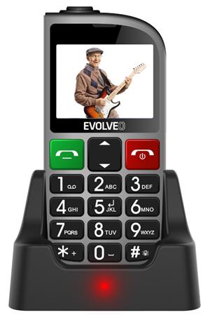 EVOLVEO EasyPhone FM, mobilní telefon pro seniory s nabíjecím stojánkem (stříbrn