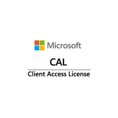 Win Server CAL 2022 (10 User)