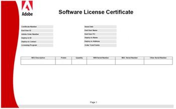 Acrobat Pro 2020 WIN SK NEW COM Lic 1+ (540)